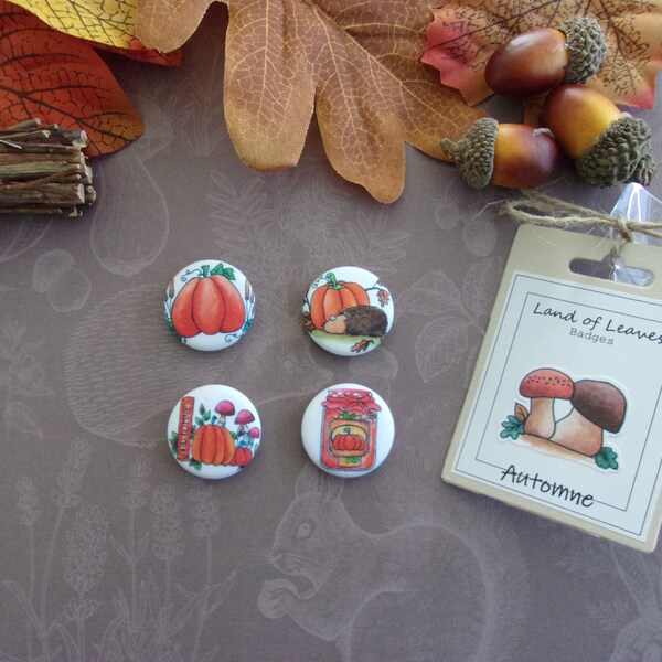 4 Badges Courge Citrouille Hérisson Automne Confiture Livre Automnale Décoration épingle rond décoration sac vêtement accessoire 2,5 cm