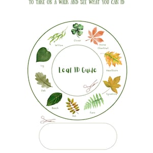 以下が含まれることがあります： 白い「Leaf ID Wheel」ガイド。水彩画で描かれた柳、クローバー、オークなどの葉のイラストが特徴です。「Leaf ID Wheel」のテキストと使用方法が記載されています。自然愛好家向けの楽しい教育ツールです。