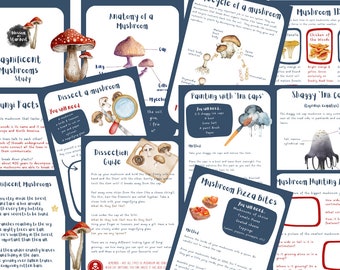 Mushroom Nature Study Pack – Printable Forest School Resource | Autumn Outdoor Learning Homeschool & EYFS | Fungi Facts + Activities