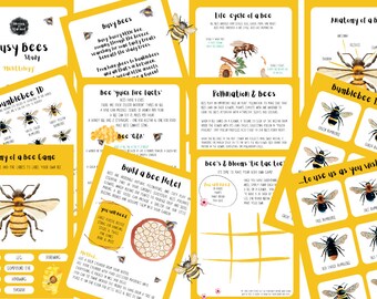 Bee Study - Nature Study Pack