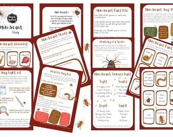 Minibeasts Nature Study Activity Pack  | Forest School Bug Hunt Printable | Home Education Science Resource | Insect ID | EYFS to 10yrs