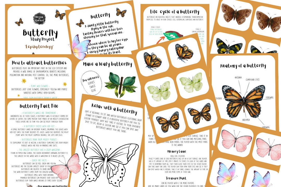 Butterfly Study - Nature Study Pack - Etsy