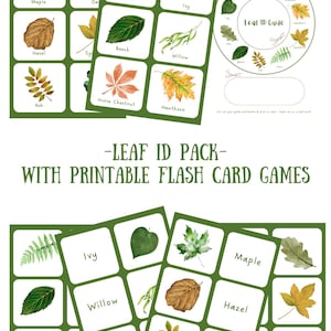 Leaf Identification Pack – Printable Tree ID Cards | Nature Study for EYFS, KS1, KS2 | Forest School | Home ED | Leaf Rubbing Hunt Game