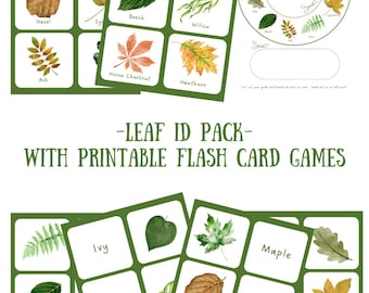 Leaf Identification Pack – Printable Tree ID Cards | Nature Study for EYFS, KS1, KS2 | Forest School | Home ED | Leaf Rubbing Hunt Game