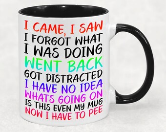 I Came I Saw I Forgot Mug - 11oz Capacity Birthday Present Funny Gift Novelty Gift Unique Gift Gift for Women Gift for Men Gifts with Quotes