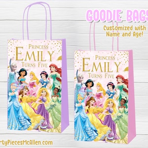 Princess Goodie Bags, Princess Candy Bags, Princess Party Favor Bags, Princess Birthday Party, Princess Custom Goodie Bags