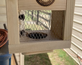 Carpenter Bee Traps
