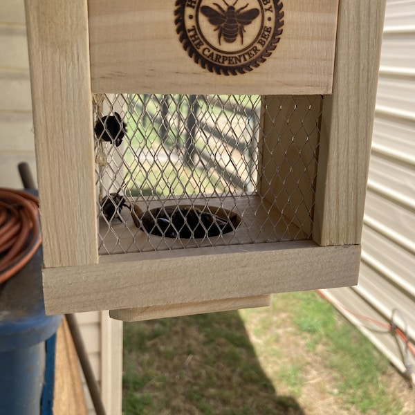 Carpenter Bee Traps