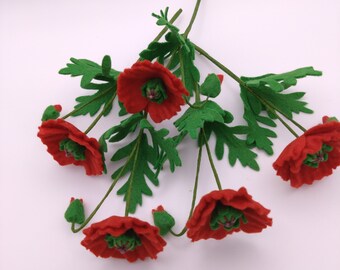 Tige de fleur de feutre de pavot commun