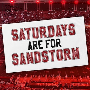 South Carolina Sandstorm Rally Towel - Perfect for Game Day! Hand Towel for USC Football Games, Gym, Home, or Golf Bag