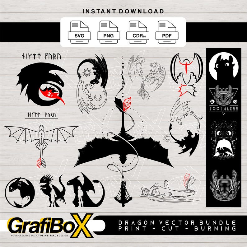 How to Train Your Dragon Dragons Toothless Hiccup vs. Armored