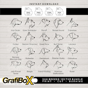 Dog Breeds SVG Bundle: Clip Art, Silhouette Files for Cricut