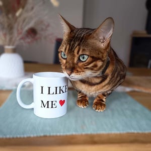 I Like Me Mug | Self Love Statement Cup | Funny Confidence Coffee Mug | Minimalist Quote Gift