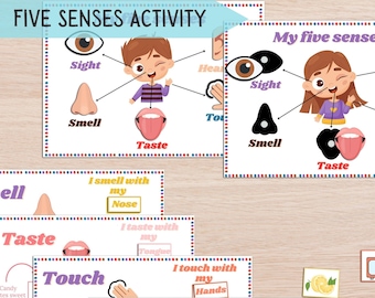 Five Senses Printable Learning, 5 Senses Sorting Activity, Preschool Science, Five Senses Worksheets, Human Anatomy, Toddler Busy Book Pages