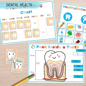 Dental Health Printable Activity For Kids, Tooth Anatomy, Montessori Oral Care & Hygiene, Toddler Tooth Education, Healthy Eating Activities