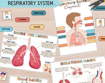 Respiratory System Learning Activity Human Anatomy Activities Homeschool Educational Printables Human Body Learning Learning My Body Unit