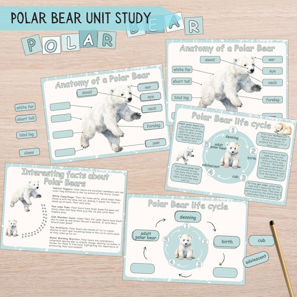 Polar Bear Unit Study Kids, Winter Christmas Activity, Homeschool Curriculum Lesson, Winter Nature Study, Montessori Kid Printable Worksheet