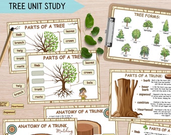 Étude d'unités d'arbres pour enfants, Anatomie d'un arbre et de son tronc, Étude de la nature à la maison, apprentissage des parties d'un arbre, Feuilles d'exercices scientifiques Montessori pour tout-petits