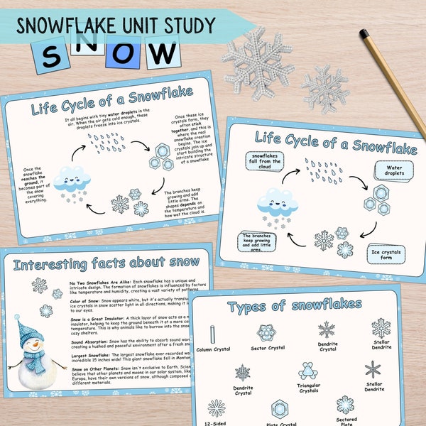 Snowflake Printable Winter Lesson Kids, Snow Unit Interactive Study, Activity Learning Bundle Winter & Christmas, Homeschool Learning Bundle