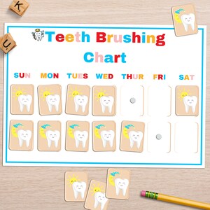 Dental Health Printable Activity for Kids Tooth Anatomy Montessori