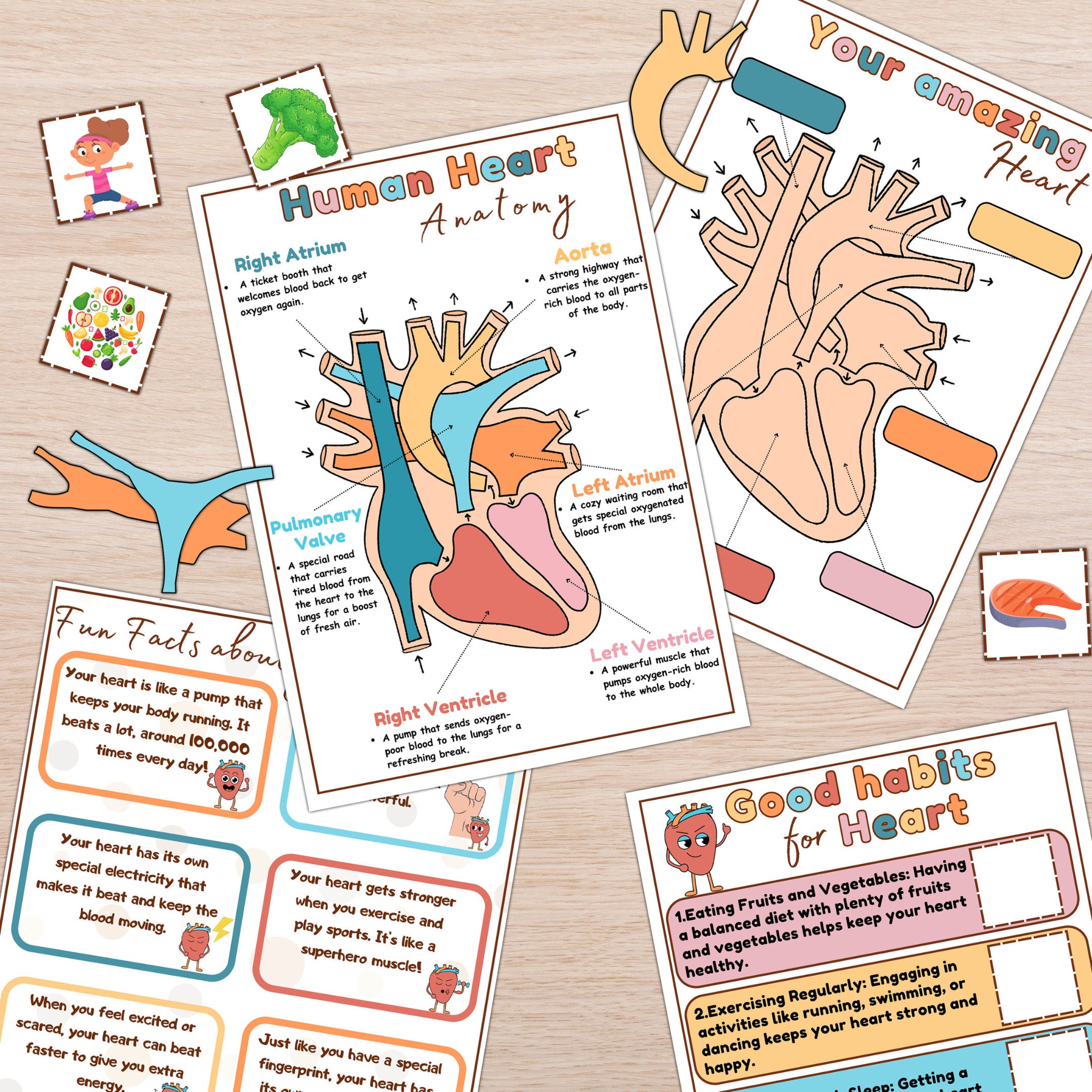 Anatomy Mega Bundle for Kids Interactive Anatomy Busy Book - Etsy