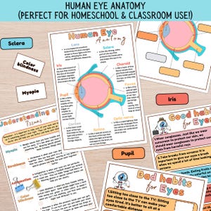 Human Eye Anatomy Printable Activity for Kids, Eye Organ Diagram Biology Game, Science Lesson, Human Body Unit, Labeling Diagram Homeschool