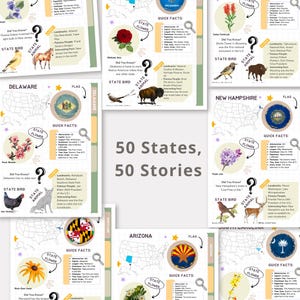 May include: A colorful infographic poster with a grid background featuring the state flower, bird, and animal for each of the 50 states in the United States. The poster includes the state name, flag, quick facts, and a "Did You Know?" section with interesting trivia about each state.