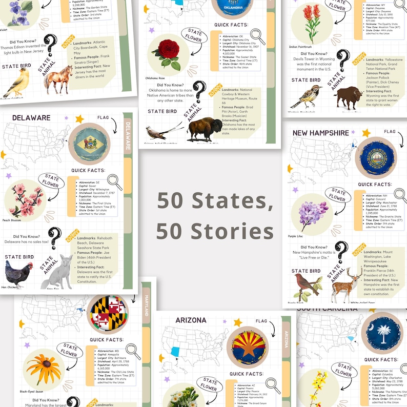 May include: A colorful infographic poster with a grid background featuring the state flower, bird, and animal for each of the 50 states in the United States. The poster includes the state name, flag, quick facts, and a "Did You Know?" section with interesting trivia about each state.