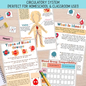 Circulatory System Activity, Blood Types & Compatibility Lesson, My Body Kids Science, Human Anatomy Bundle, Montessori Homeschool Resources