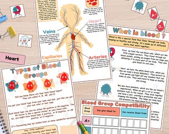 Circulatory System Activity, Blood Types & Compatibility Lesson, My Body Kids Science, Human Anatomy Bundle, Montessori Homeschool Resources