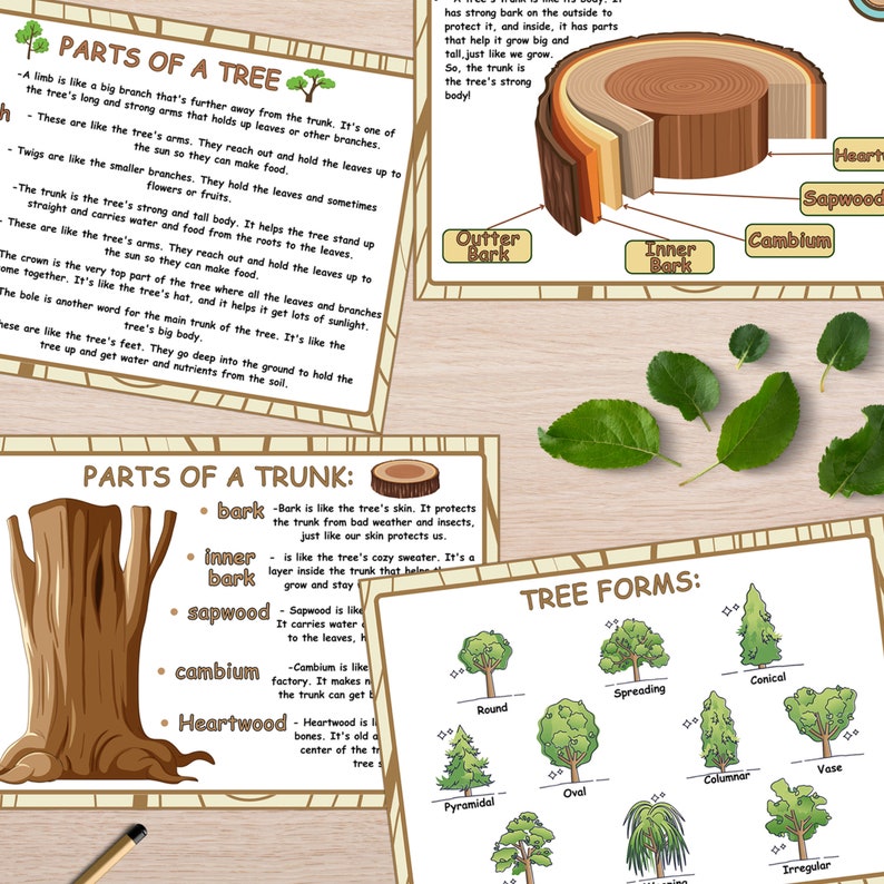 Tree Anatomy Study: Montessori Homeschool Science Worksheets (PDF ...