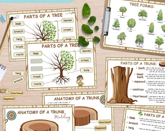 Tree Anatomy Study: Montessori Homeschool Science Worksheets (PDF Download)