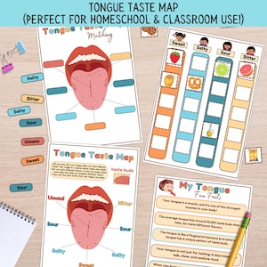 Tongue Taste Map Activity: Anatomy Learning Binder Pages (Digital Download)