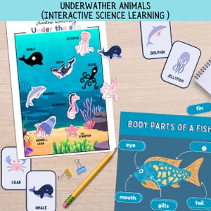 Ocean Animals Activity Set: Flashcards, Worksheets, Preschool Science (Digital Download)
