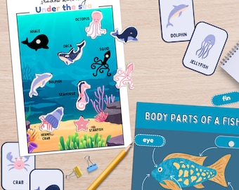 海の動物アクティビティセット：フラッシュカード、ワークシート、幼児向け科学（デジタルダウンロード）