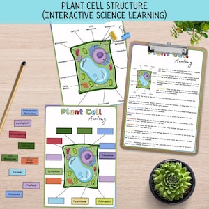 Attività sulla struttura delle cellule vegetali: lezione di scienze per la scuola domestica (download digitale)