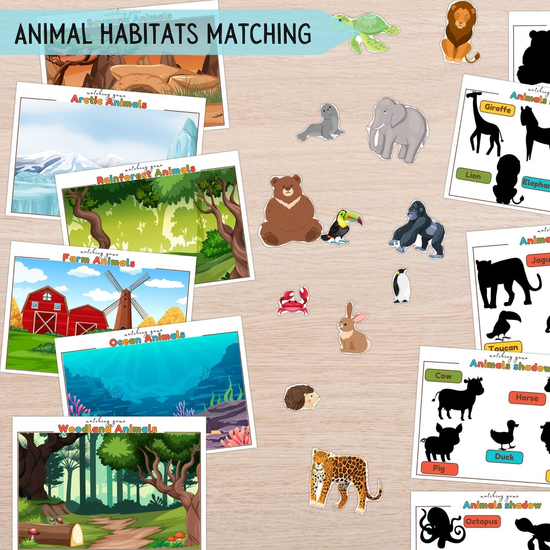 Animals Habitat Sorting Activity for Kids, Learning Animals for Toddlers, Habitats Busy Pages