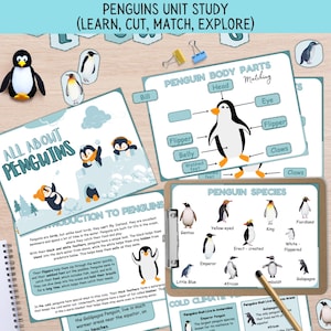 Penguin Unit Study: Winter Homeschool Printable (PDF Download A4 Size)