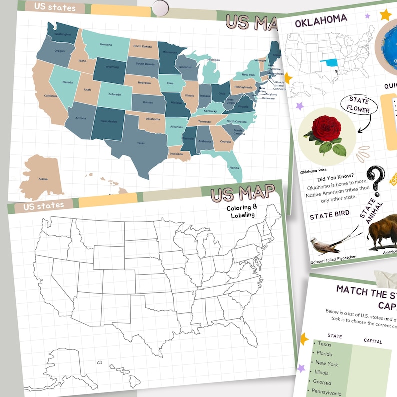 May include: A printable worksheet with a map of the United States. The map is divided into states and includes a key for coloring. The worksheet also includes a section on Oklahoma, with information about the state flower, bird, and animal. The text on the worksheet reads "US Map Coloring & Labeling" and "Did You Know? Oklahoma is home to more Native American tribes than any other state."