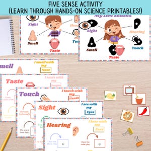 Five Senses Printable Learning, 5 Senses Sorting Activity, Preschool Science, Five Senses Worksheets, Human Anatomy, Toddler Busy Book Pages