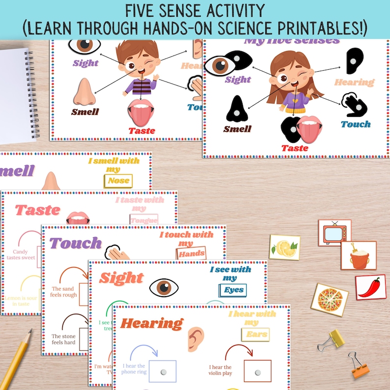 Five Senses Learning Printable: Preschool Sorting Activity (PDF ...