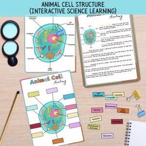 Animal Cell Structure Diagram: Biology Lesson, Homeschool Science (PDF Download)