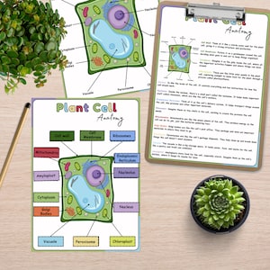 Plant Cell Structure Activity, Plants Biology Lesson for Kids, Nature ...