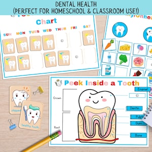 Dental Health Activity Printables: Tooth Anatomy, Oral Care (PDF Download A4 Size)