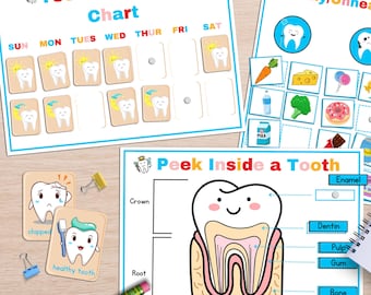 Dental Health Activity Printables: Tooth Anatomy, Oral Care (PDF Download A4 Size)