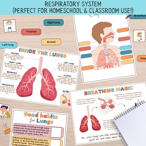 Respiratory System Learning Activity Human Anatomy Activities Homeschool Educational Printables Human Body Learning Learning My Body Unit