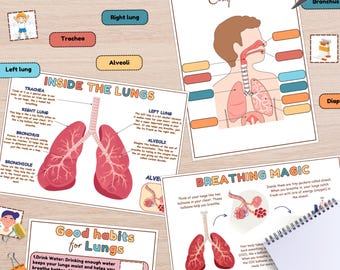 Respiratory System Learning Kit: Human Anatomy Homeschool Printable (PDF Download A4 Size)
