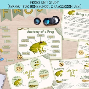 Frog Life Cycle Printable: Amphibian Anatomy, Homeschool Science (PDF Download)