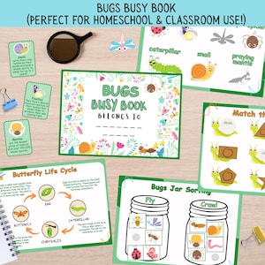 Libro de actividades sobre bichos e insectos: Carpeta de aprendizaje para niños pequeños (descarga digital)
