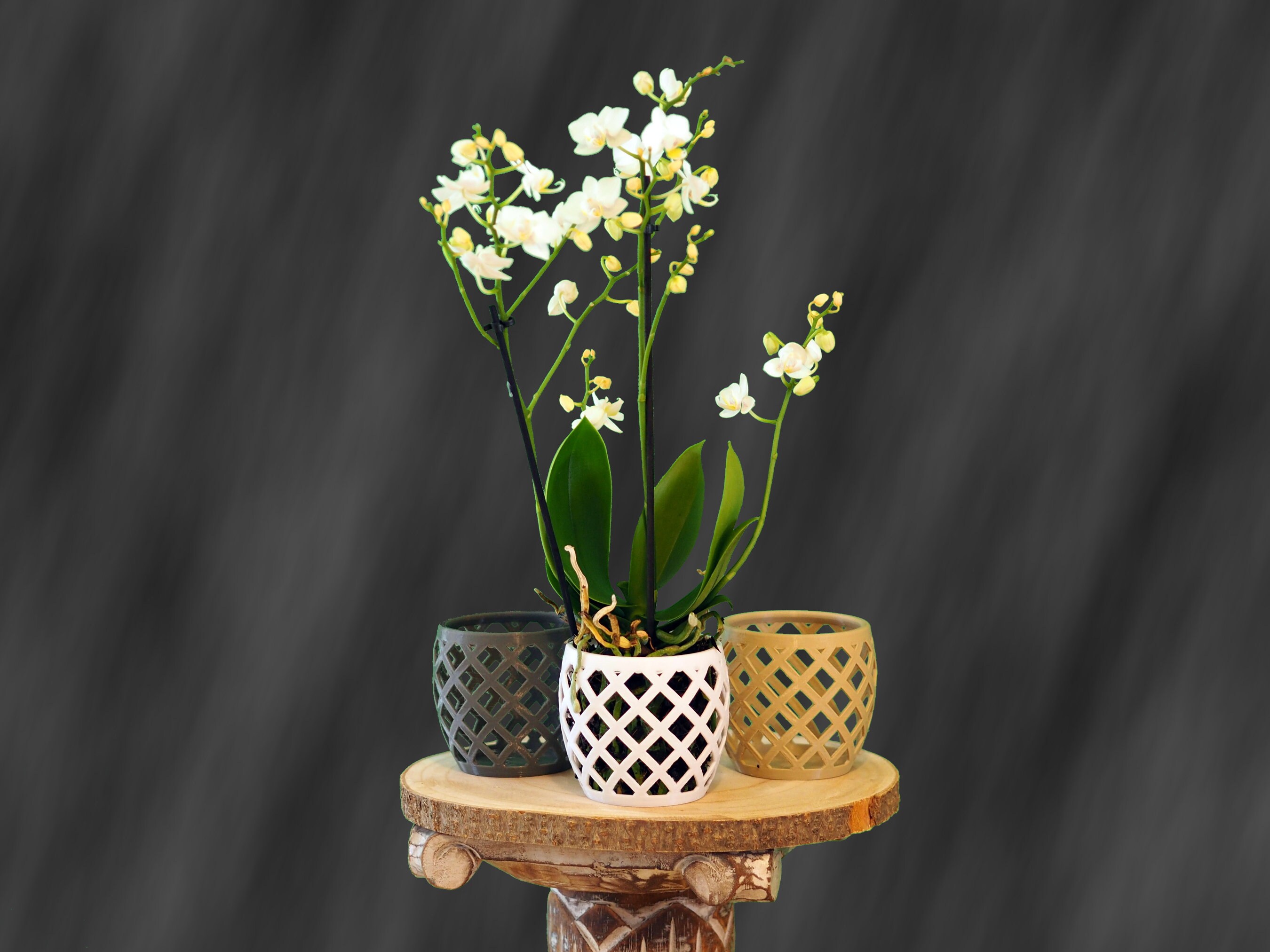 pflanzstäbe 200 cm 60-200cm Pflanzstäbe aus Fiberglas kaufen